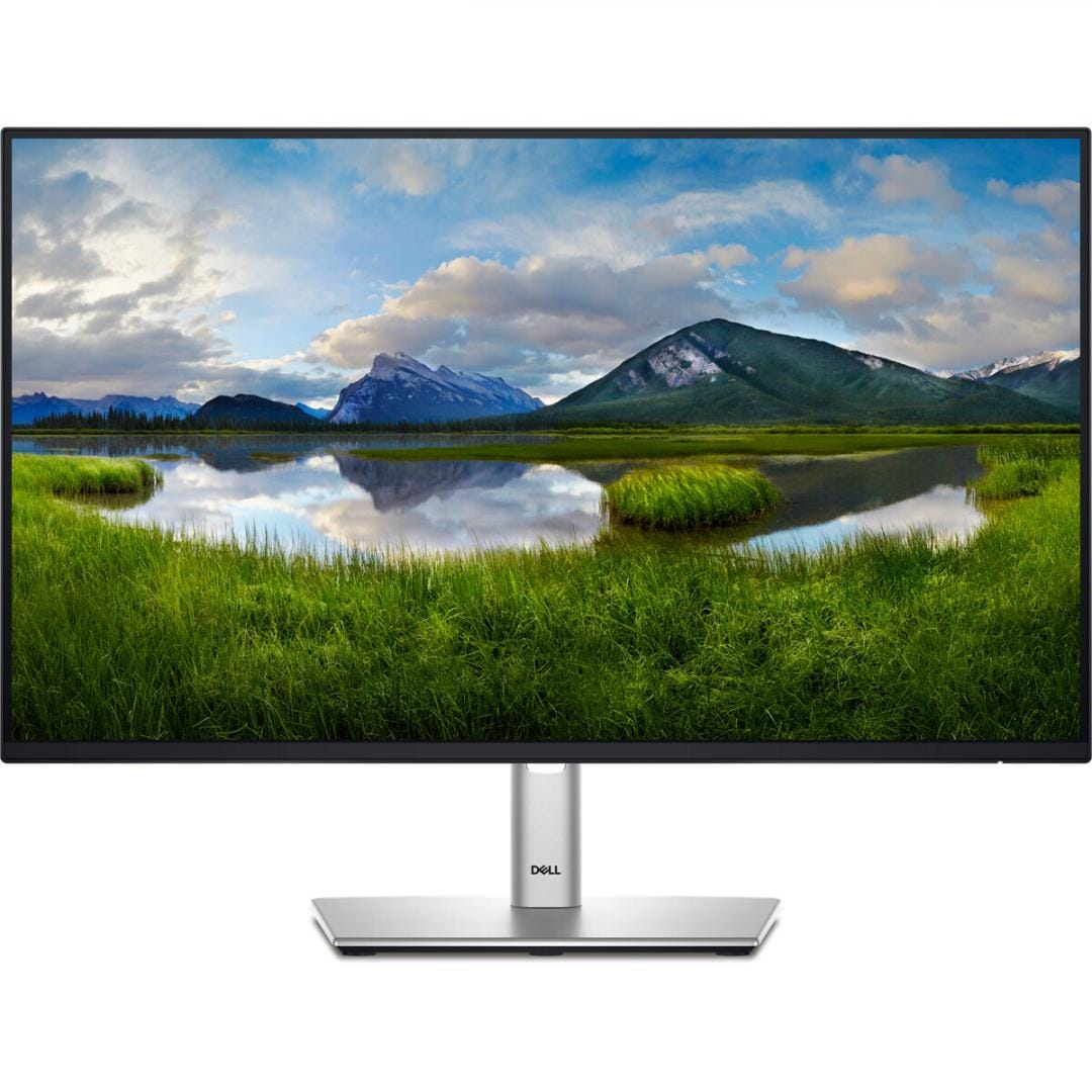 Monitor Dell P2425H 23.8" Full HD 100Hz IPS Profesionist - imagine 11