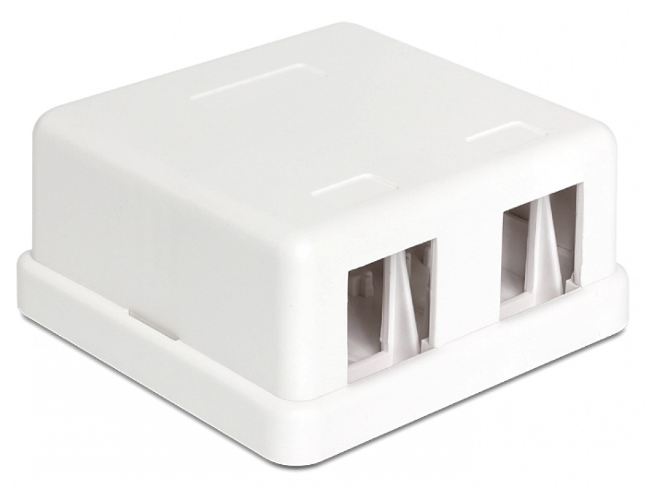 Carcasa Keystone 2 Porturi Alb Delock