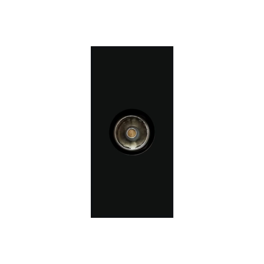 Modul Priza TV LUXION, 1M, Certificat CE - imagine 6