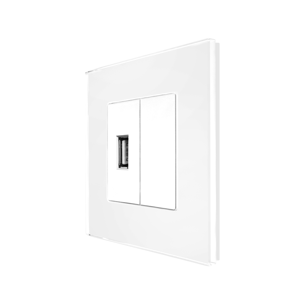 Priza USB + Blank Rama Sticla LUXION, Alba