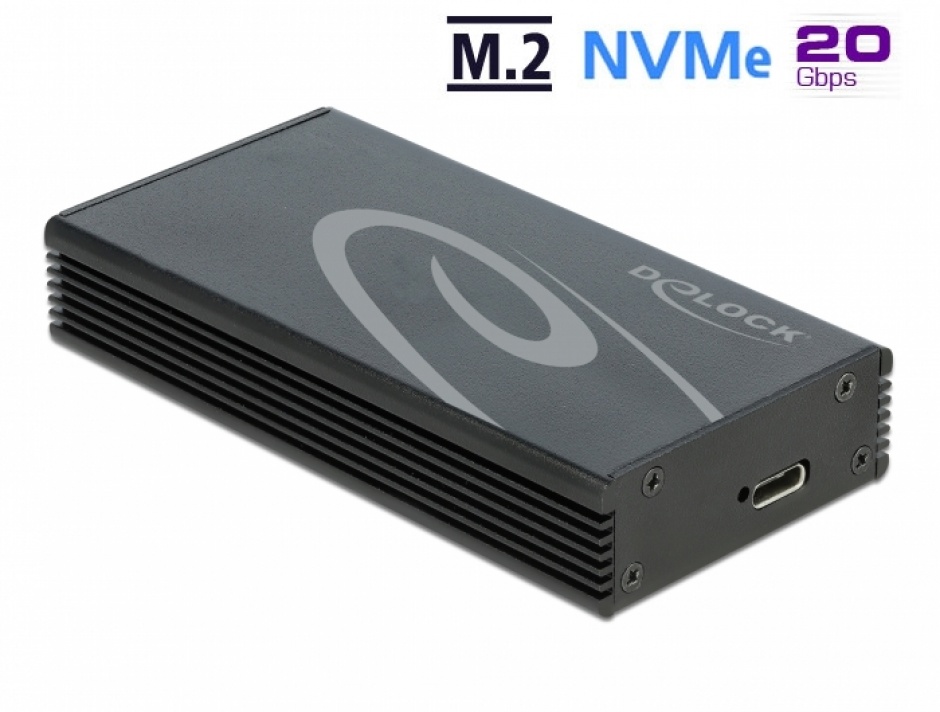 Rack Extern Delock USB 3.2-C NVMe SSD 20Gbps