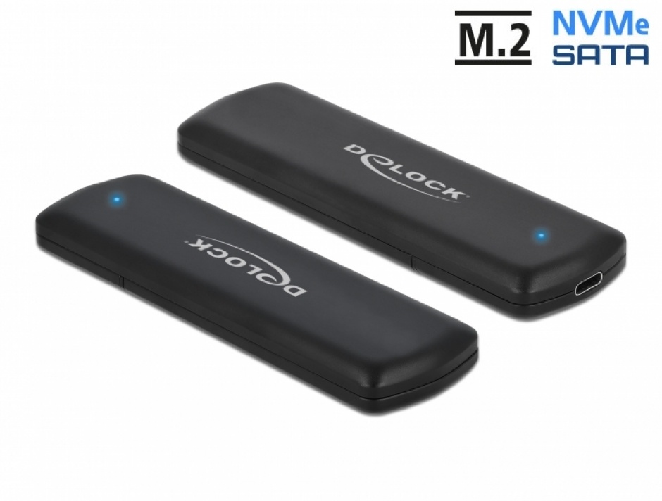 Delock 42633 Rack Extern SSD M.2 USB 3.2 Combo