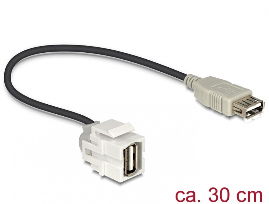 Modul Keystone USB 2.0 Delock 250°