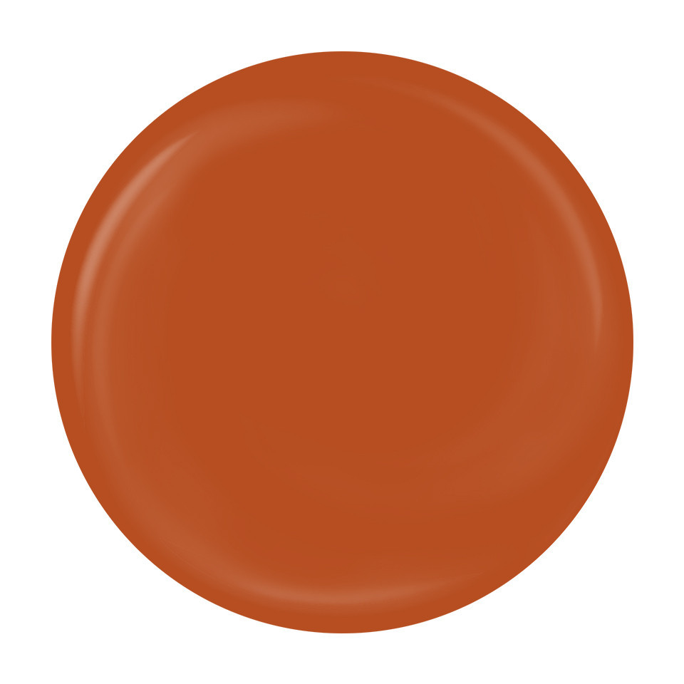 Gel Pictura LUXORISE Perfect Line Terracota