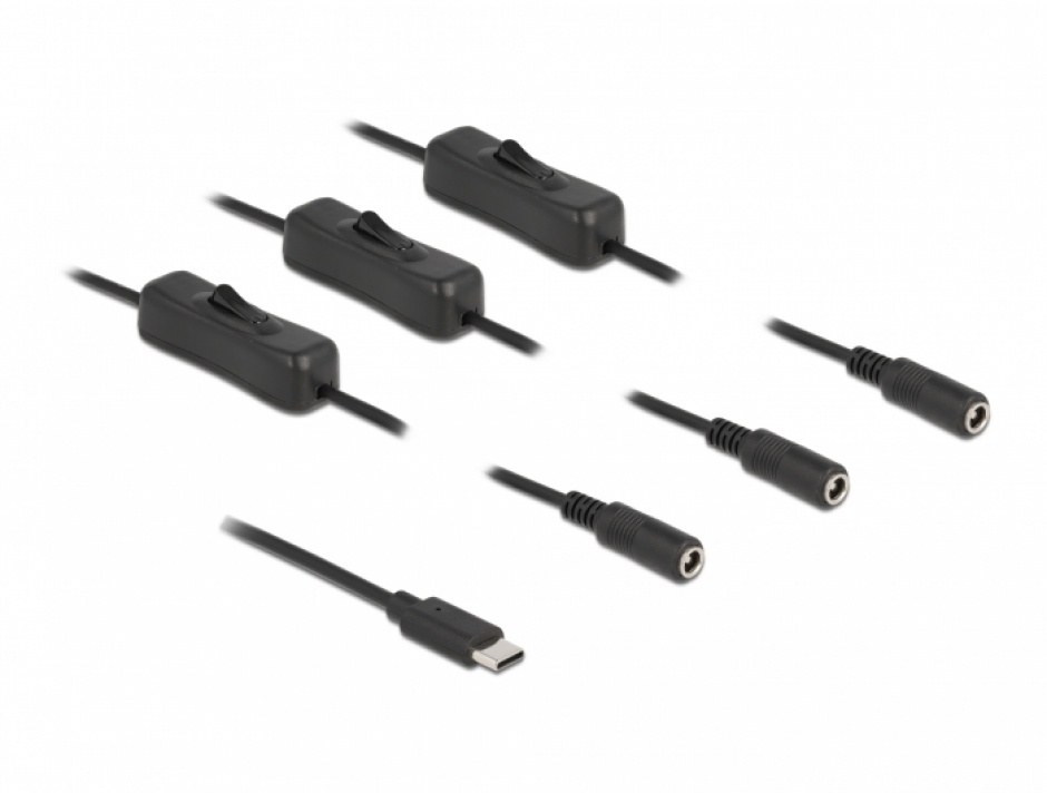 Cablu USB-C la 3xDC cu Switch, Delock 1m
