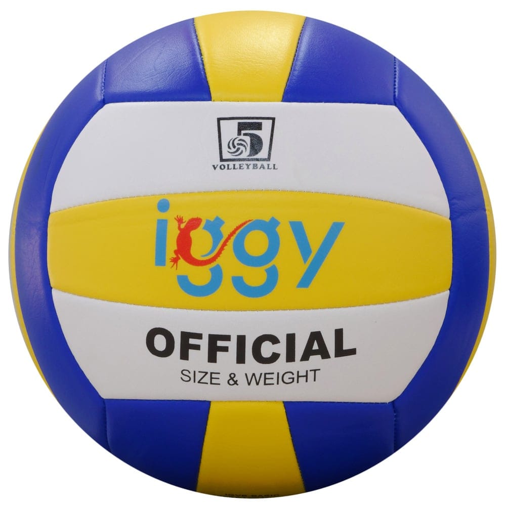 Minge Volei Iggy IGVB-BASIC Dimensiune 5 - 240g PVC - imagine 2