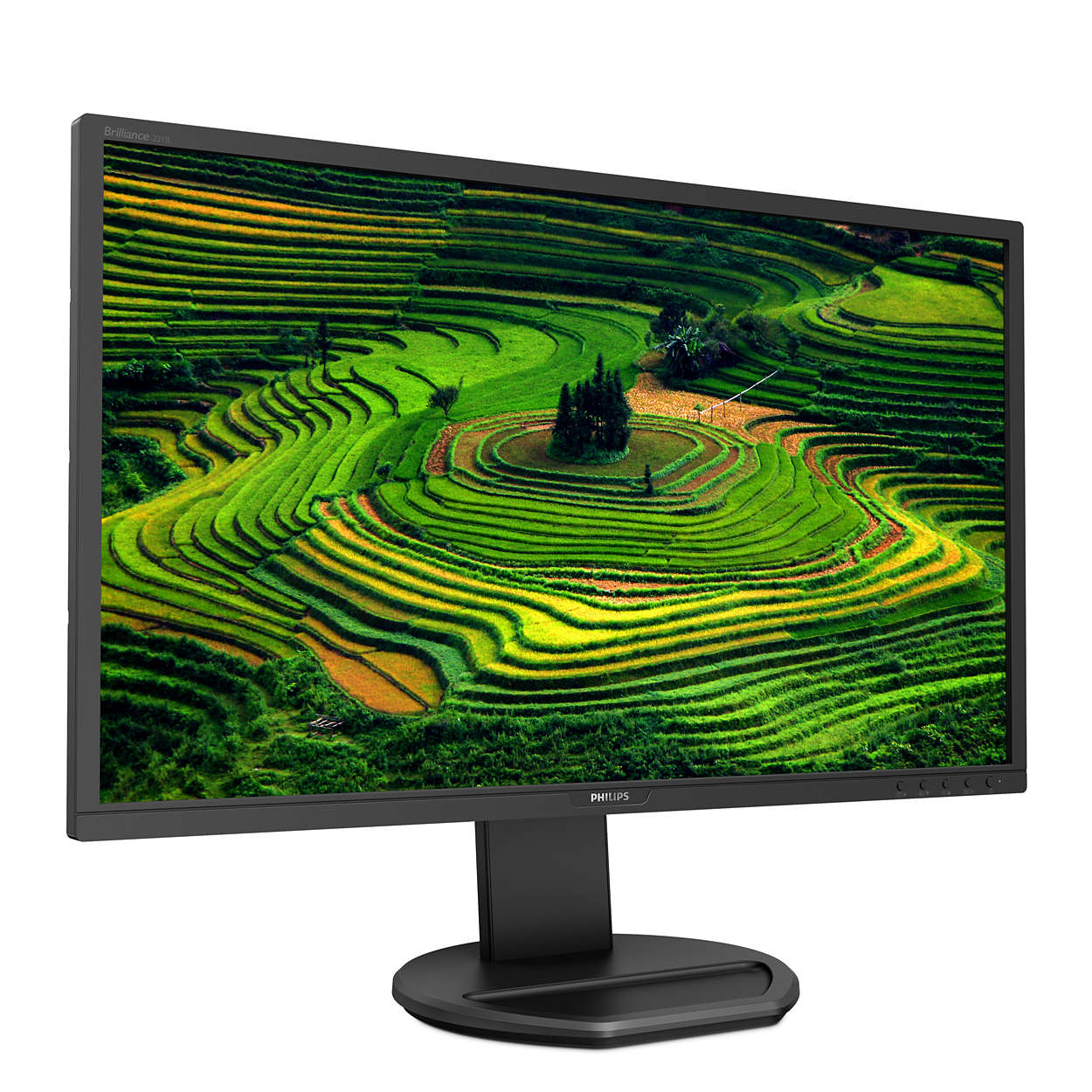 Monitor Philips 21.5" Full HD HDMI VGA - Office și Home - imagine 2