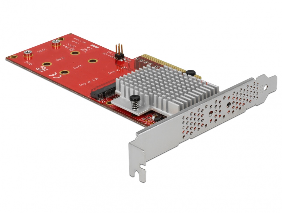 Placa PCI Express 2x NVMe M.2 Delock 90305