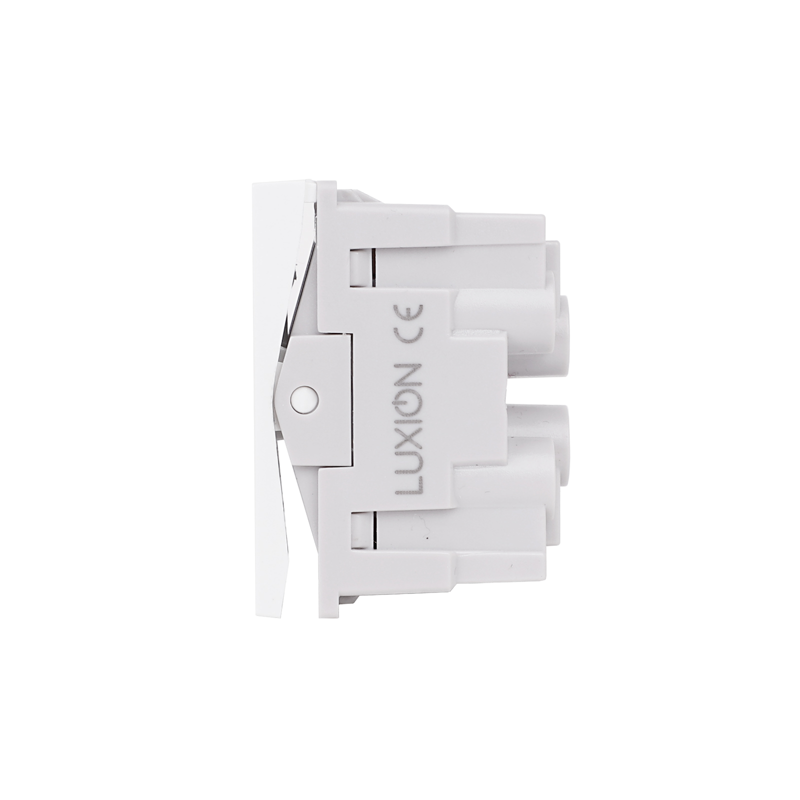 Modul Intrerupator Dublu Mecanic LUXION, 10A - imagine 3