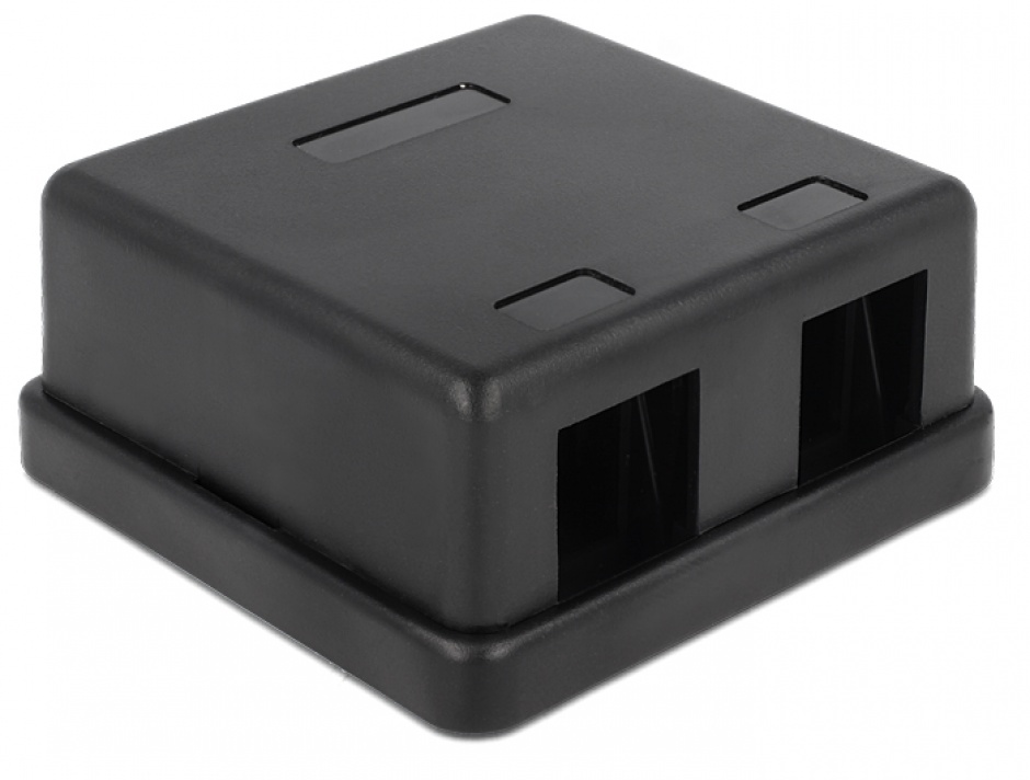 Carcasă Keystone 2 Porturi Negru Delock