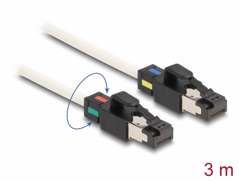 Cablu RJ45 Cat.6A S/FTP 3m Delock cu Cleme Colorate