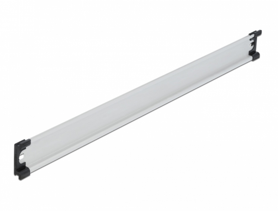 Sina DIN Aluminiu 19" Delock 66169, 35mm