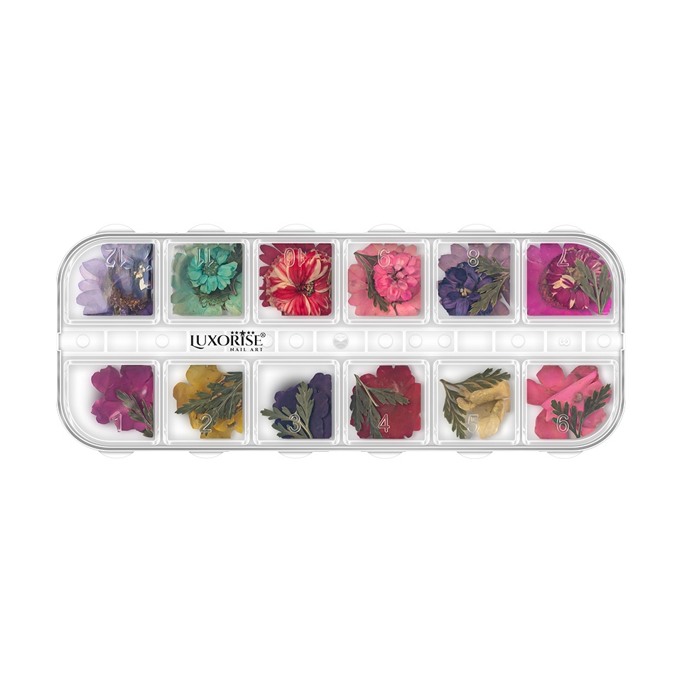 Flori Uscate Unghii Luxorise - 12 Modele Flower Essence